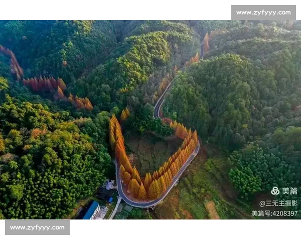 家国情怀，为荣誉而战的英雄名单公布！