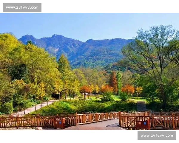 赛场内外皆风景!和平精英世界赛背后感人故事揭秘! 赛场内外皆风景!和平精英世界赛背后感人故事揭秘!
